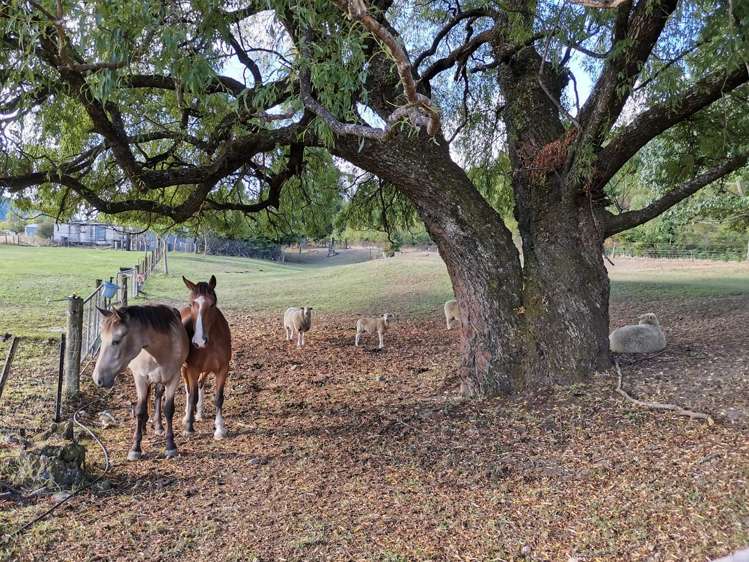2215 Wakefield-Kohatu Highway Kahurangi National Park_12