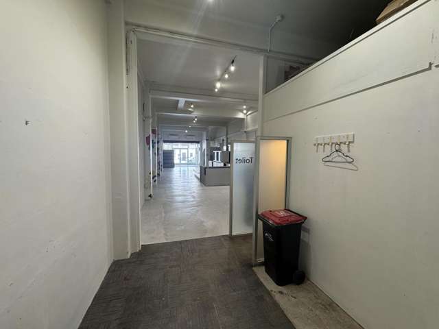 18 Hastings Street Napier South_3