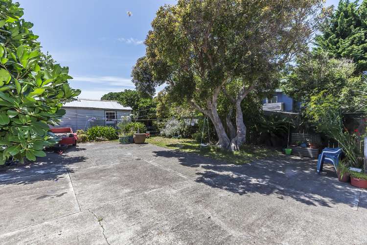 75 Devonshire Road Miramar_12