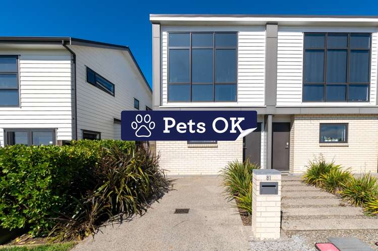 81 Andrew Jack Road_0