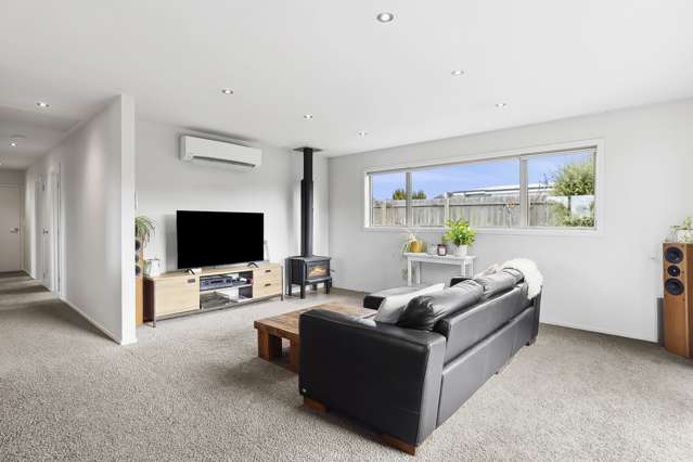 2b Pebble Lane Wanaka_4