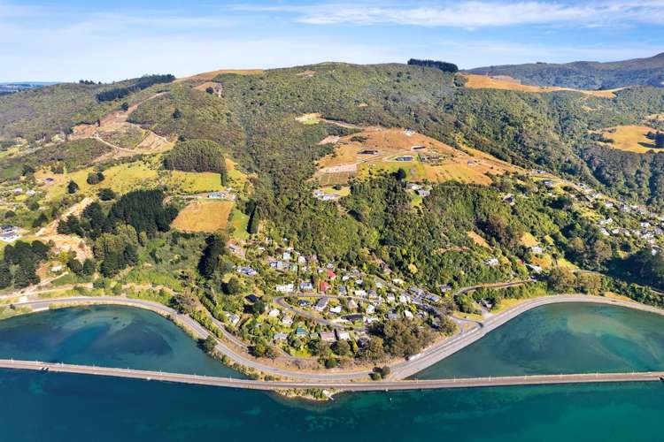 65 Kakapo Street Saint Leonards_16