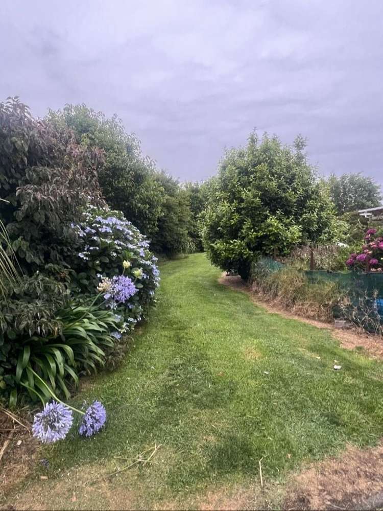 17 Polley Crescent Katikati_13