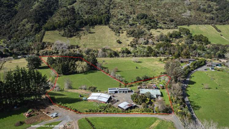 398C Kauaeranga Valley Road Thames_18