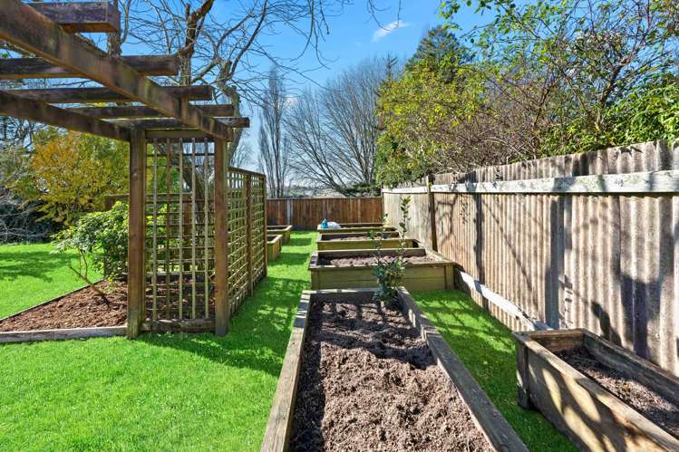 131 Fitzroy Avenue Fitzroy_21