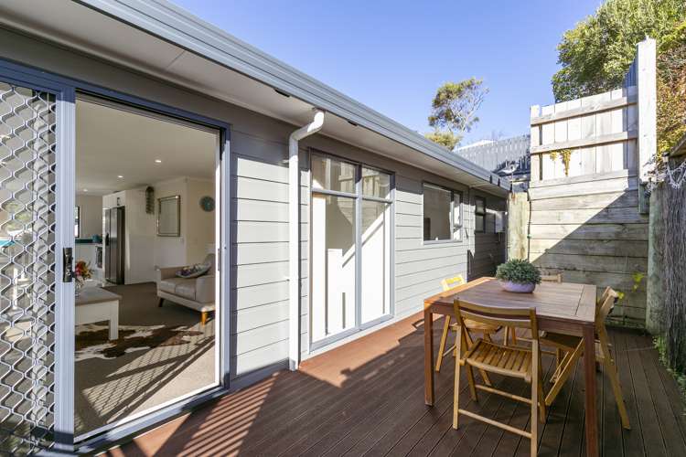 17a Manuka Street Miramar_5