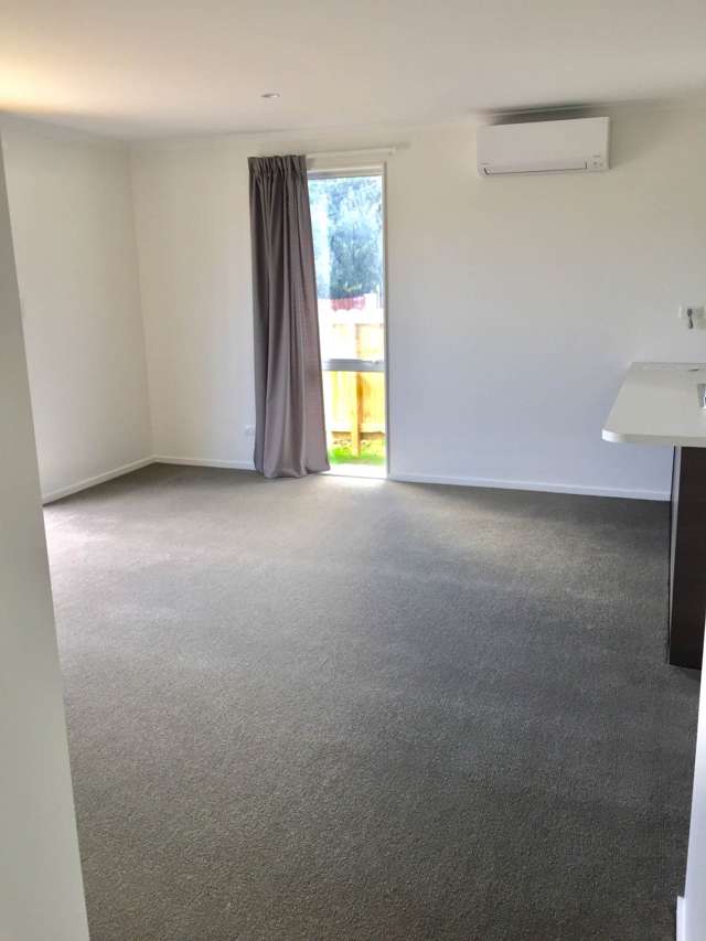 30A Harrington Road Henderson_4