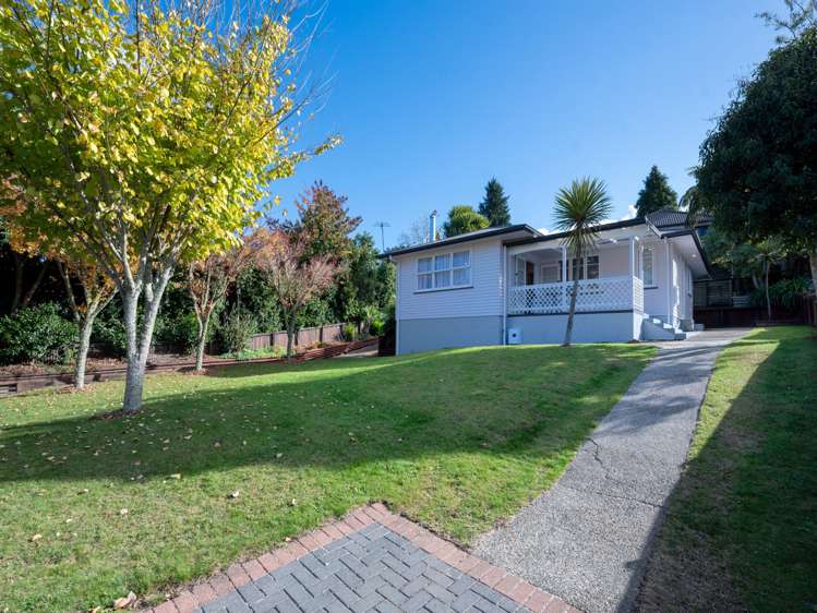 14 Nikau Street Springfield_4
