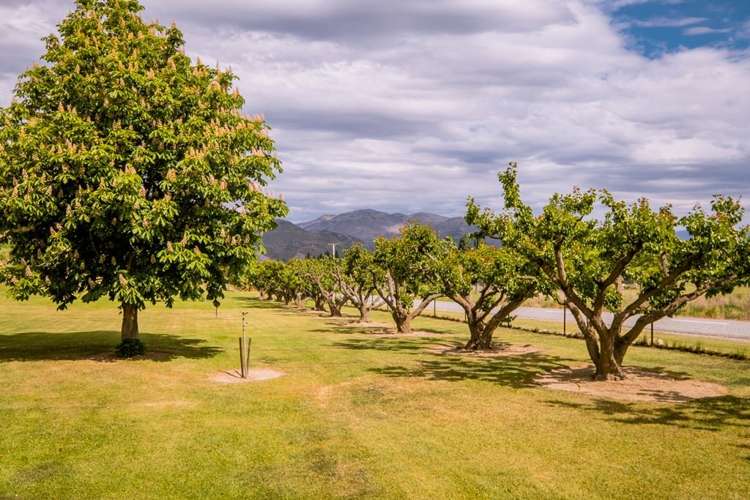 82 Burn Cottage Road Cromwell_33