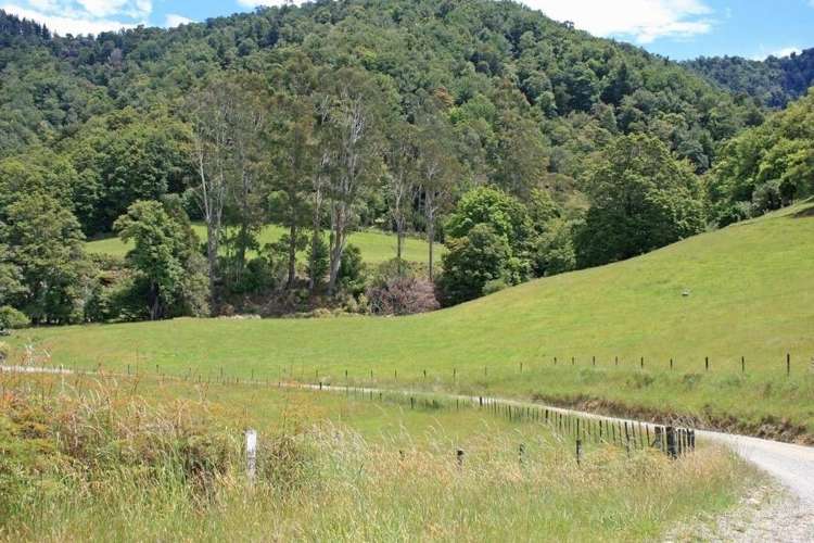 994 Maungatapu Road Rai Valley_2