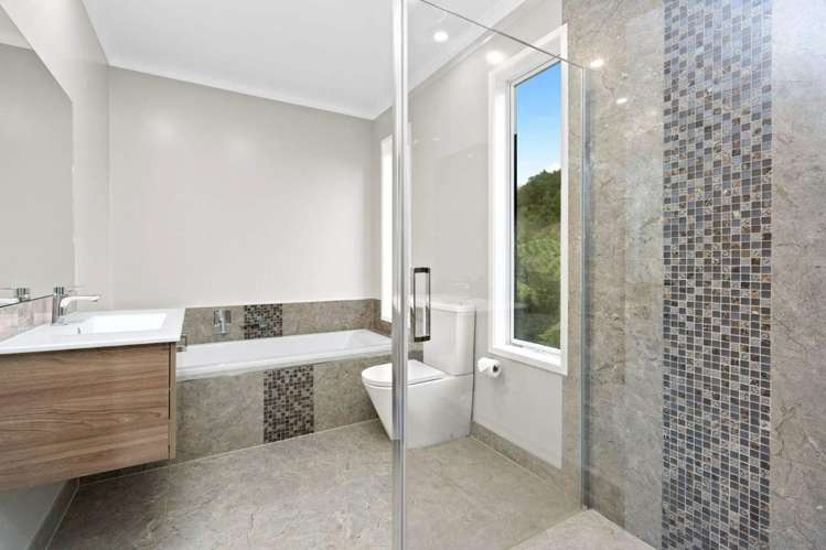 66 North Ridge Rise 11608_11