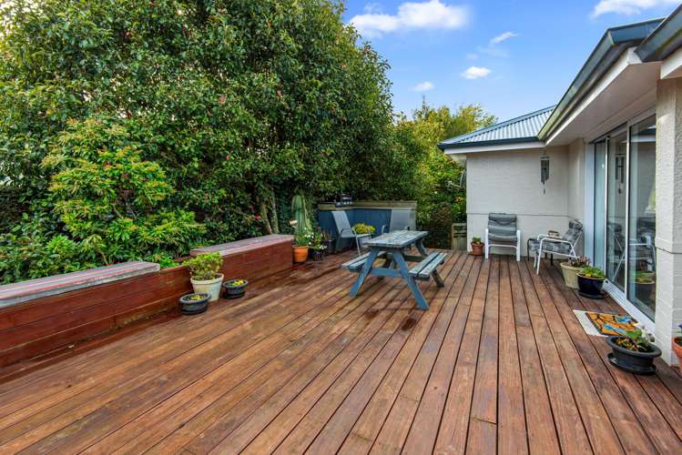 79 Weston Road Weston_19