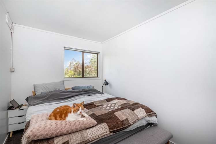 484 Kahikatea Flat Road Waitoki_39