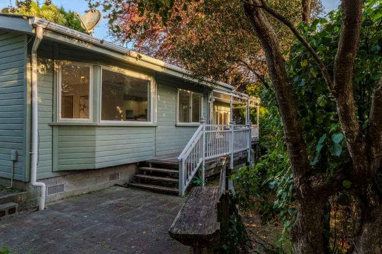 17 MacFarlane Street Hamilton East_15