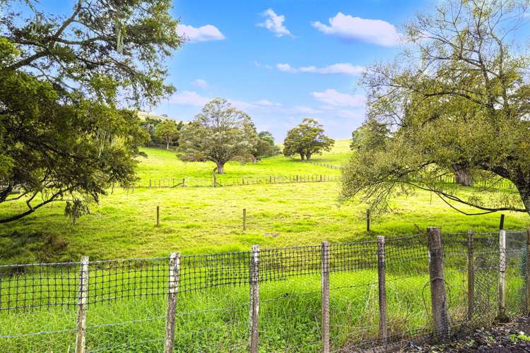 88 Great North Road Kamo_11