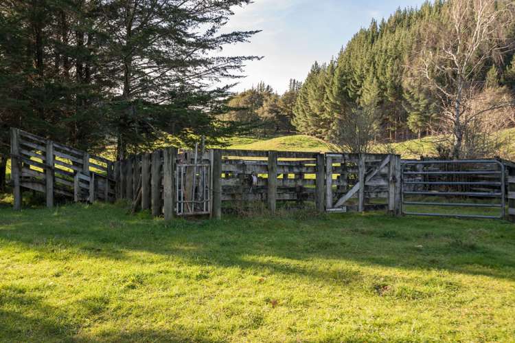 21 Serpentine River Road Aniseed Valley_16