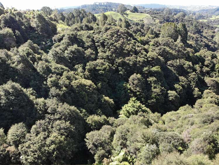 6 Wenz Bayer Road Puhoi_11