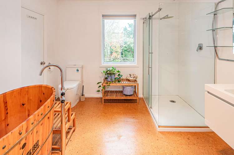 46 Mount View Road Bastia Hill_12