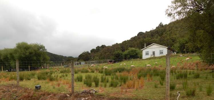 3 Clifford Street Blackball_11