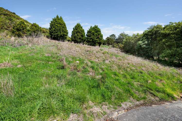 16 Webster Place Picton_8