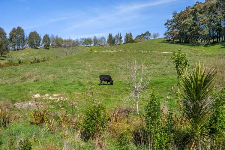 370 Rosedale Road Upper Moutere_35