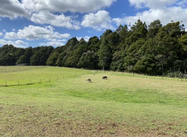 277 Valley Road Kaiwaka_1