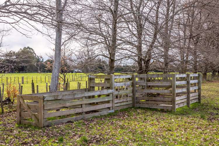 221 Manaia Road Masterton_18