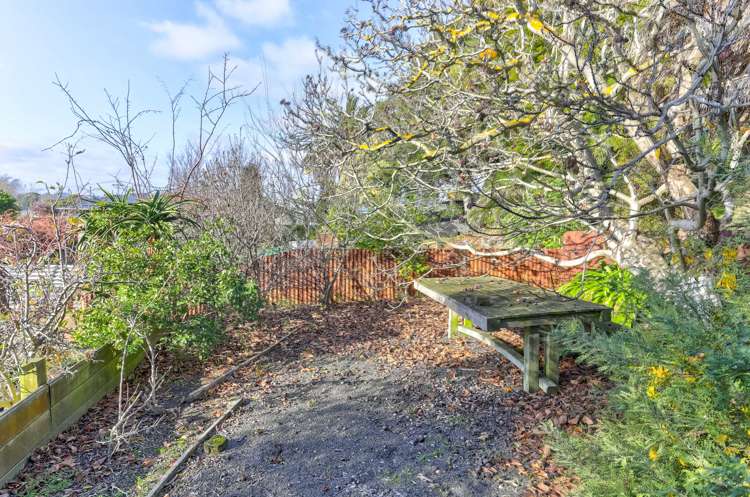 43 Alma Road Gonville_15