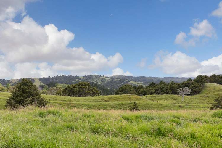 Lot 2/347 Porter Road Paparoa_19