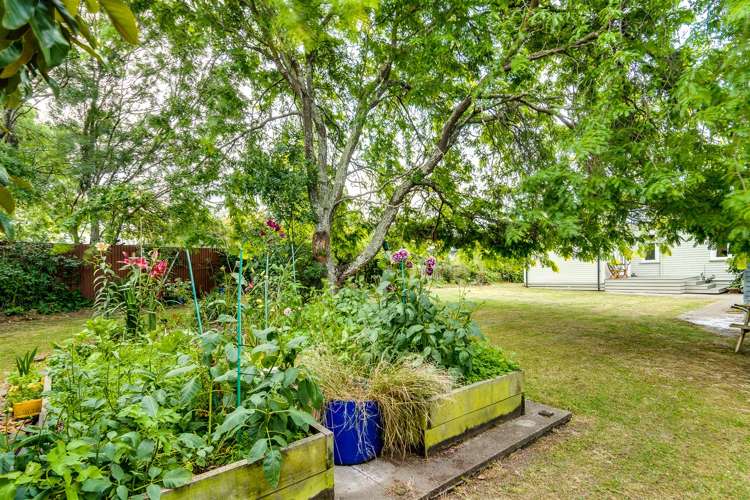 41 Jellicoe Street Waipukurau and Surrounds_21