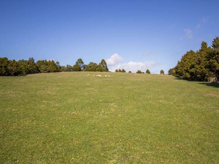 884 Kaiikanui Road Hukerenui and Surrounds_5