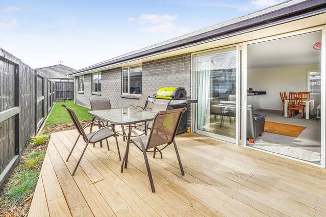 6 Harp Street Morrinsville_1