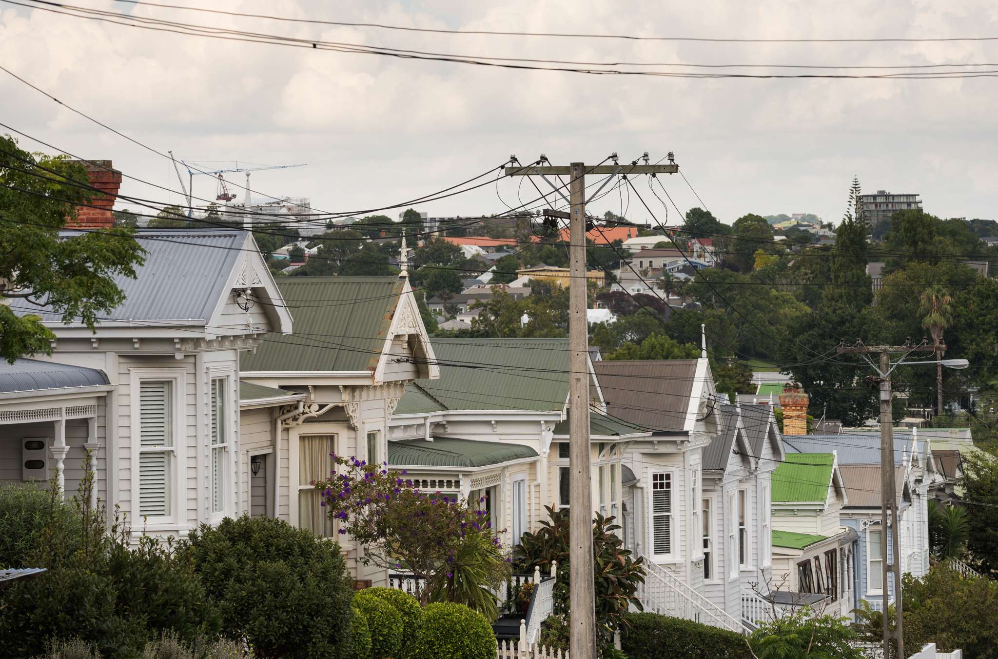 What’s it like to live in NZ’s most expensive suburb?