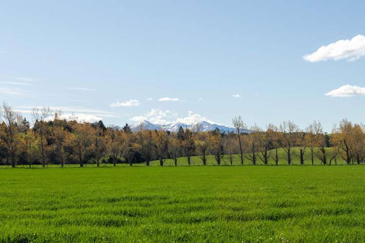 Rowallan Road Darfield_19