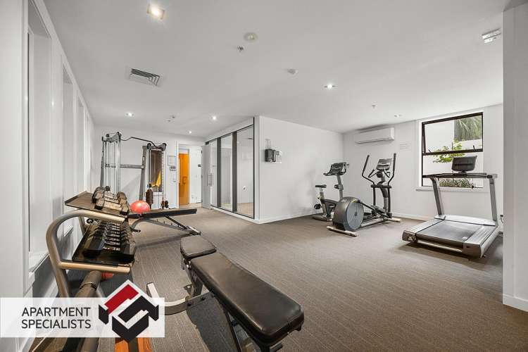 28 Balfour Road Parnell_16