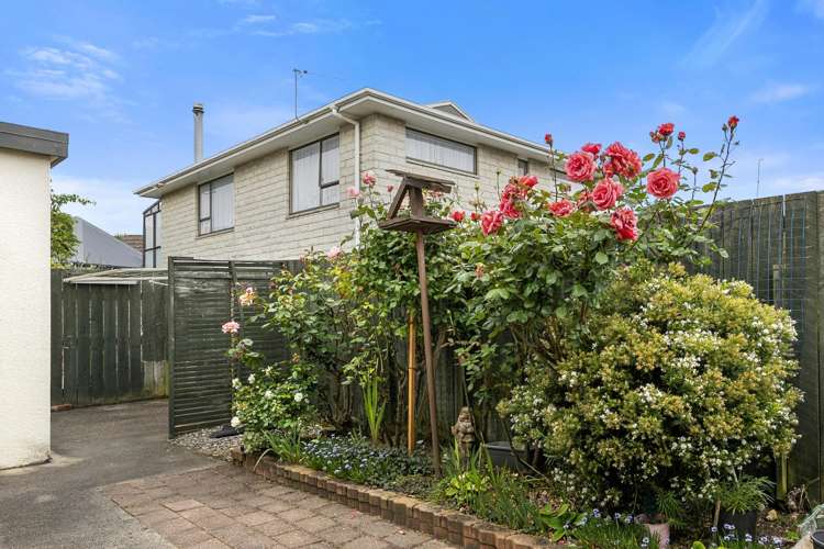 72b Queens Drive Saint Kilda_10
