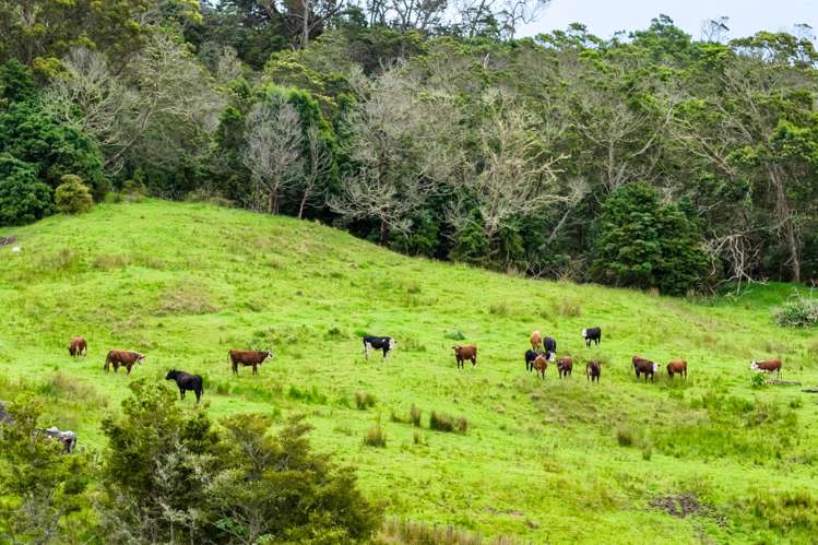 757 Opanake Road Parore Dargaville_57