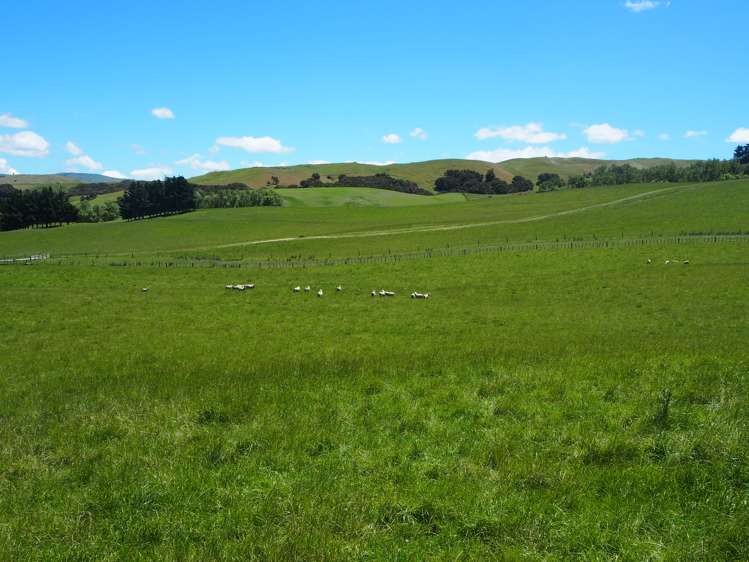 456 Ngawaka Road Central Hawkes Bay Country_17