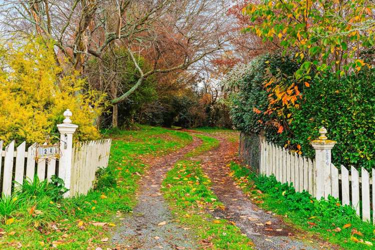 124 Deep Creek Road Reporoa and Surrounds_20