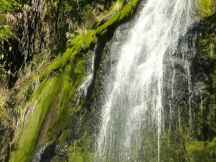 - Waioeka Pa Road Opotiki_9