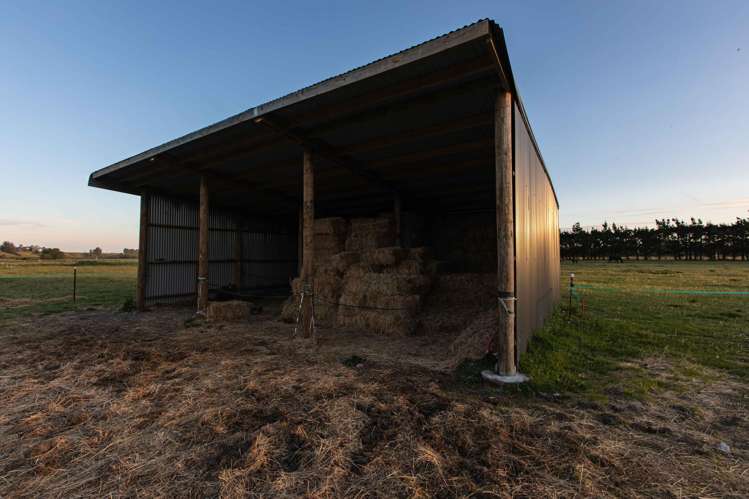 183 Terrace Road Cust_3