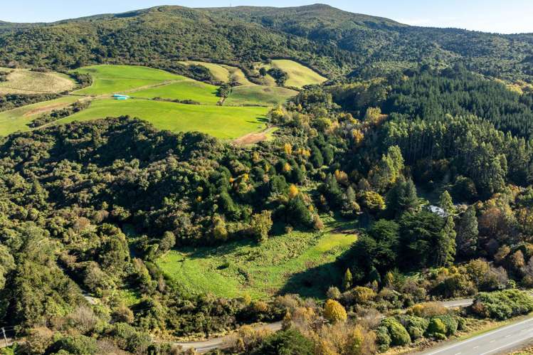 315 Leith Valley Road Leith Valley_18