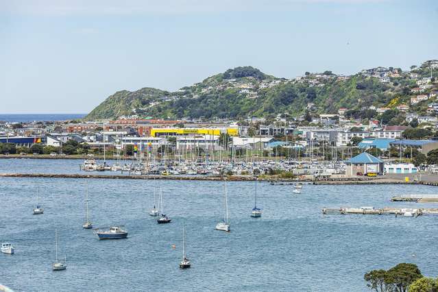 33a Treasure Grove Hataitai_4