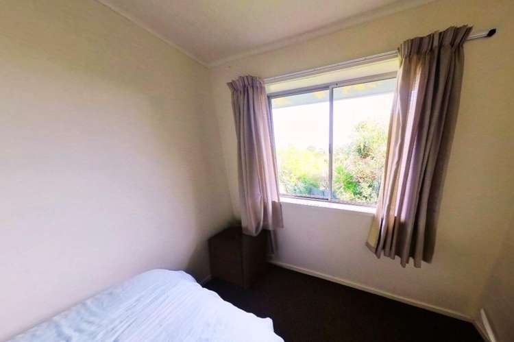 6a Primrose Street Raglan_4