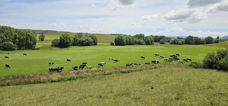 289 Otama Valley Road Otama_22