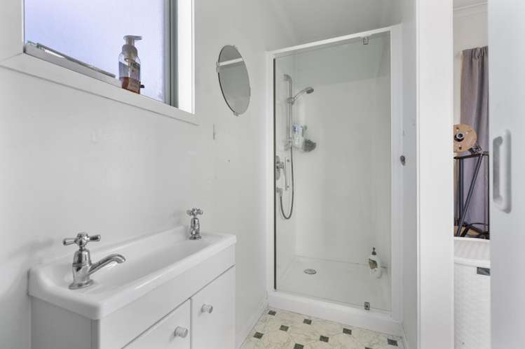 8 Raleigh Street Vogeltown_26