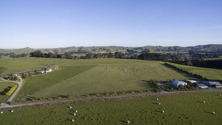 275 Cliff Road Eketahuna_11