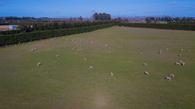 10 Mount Thomas Road Fernside_7