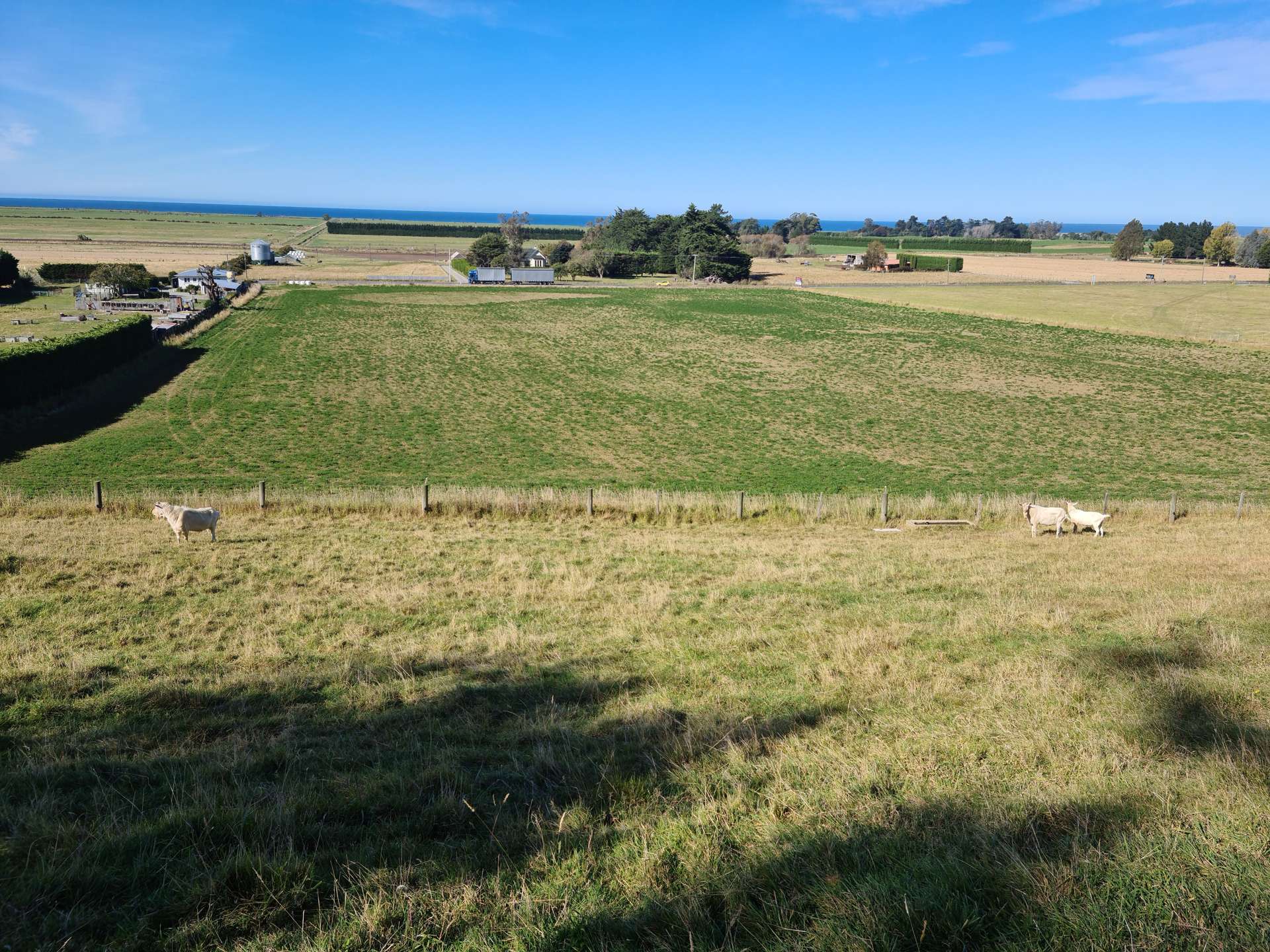 Pukeuri-Oamaru Road Oamaru_0