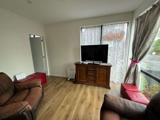 1/245 Campbell Road Greenlane_4